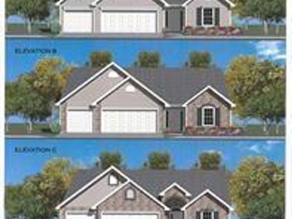 0 TBB Birchwood Overlook-HICKORY, Festus, MO 63028
