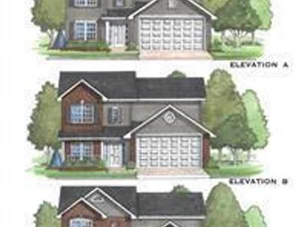 0 TBB Birchwood Overlook -PIN OA, Festus, MO 63028