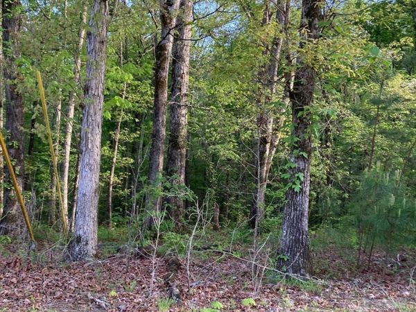 Lot 1 Louise Avenue, Southside, AL 35907