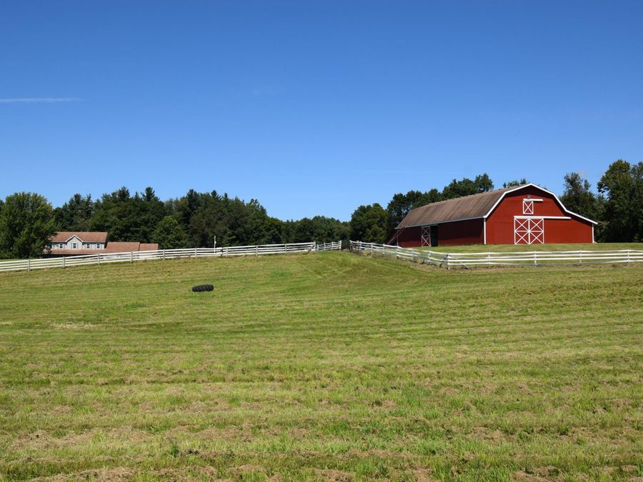 Property Image 6