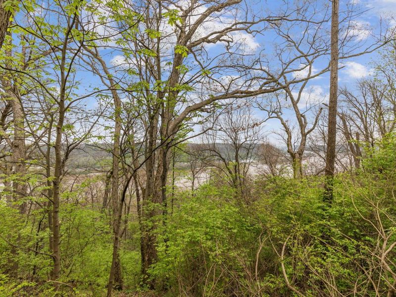 4231 River Road, Unit Parcel-A-B, Hebron, KY 41048 Photo 4