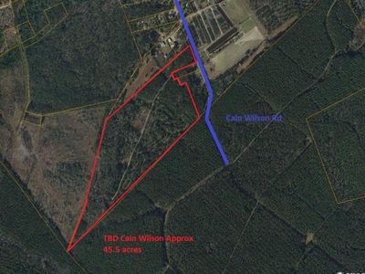 TBD Cain Wilson Rd., Conway, SC 29526