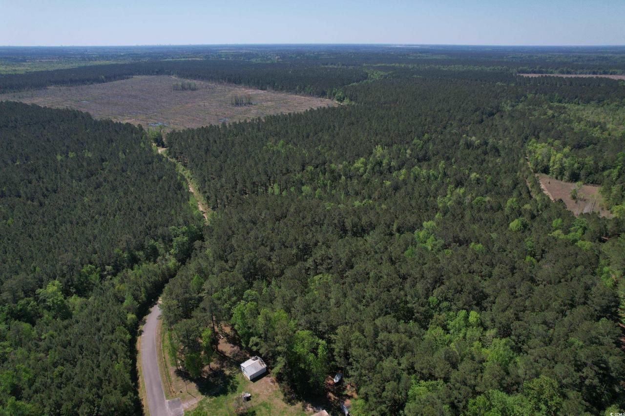 Tbd Cain Wilson Rd. Photo 11