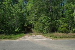 Tbd Cain Wilson Rd. photo 4