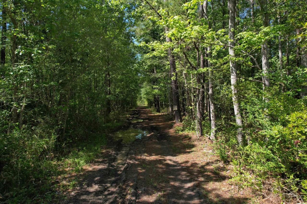 Tbd Cain Wilson Rd. Photo 4