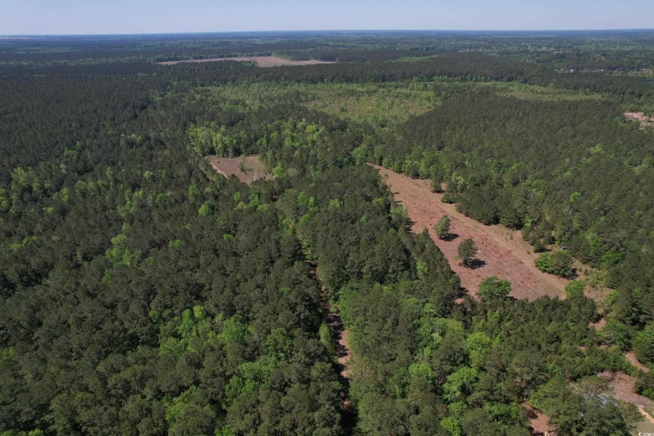 Tbd Cain Wilson Rd. Photo 6