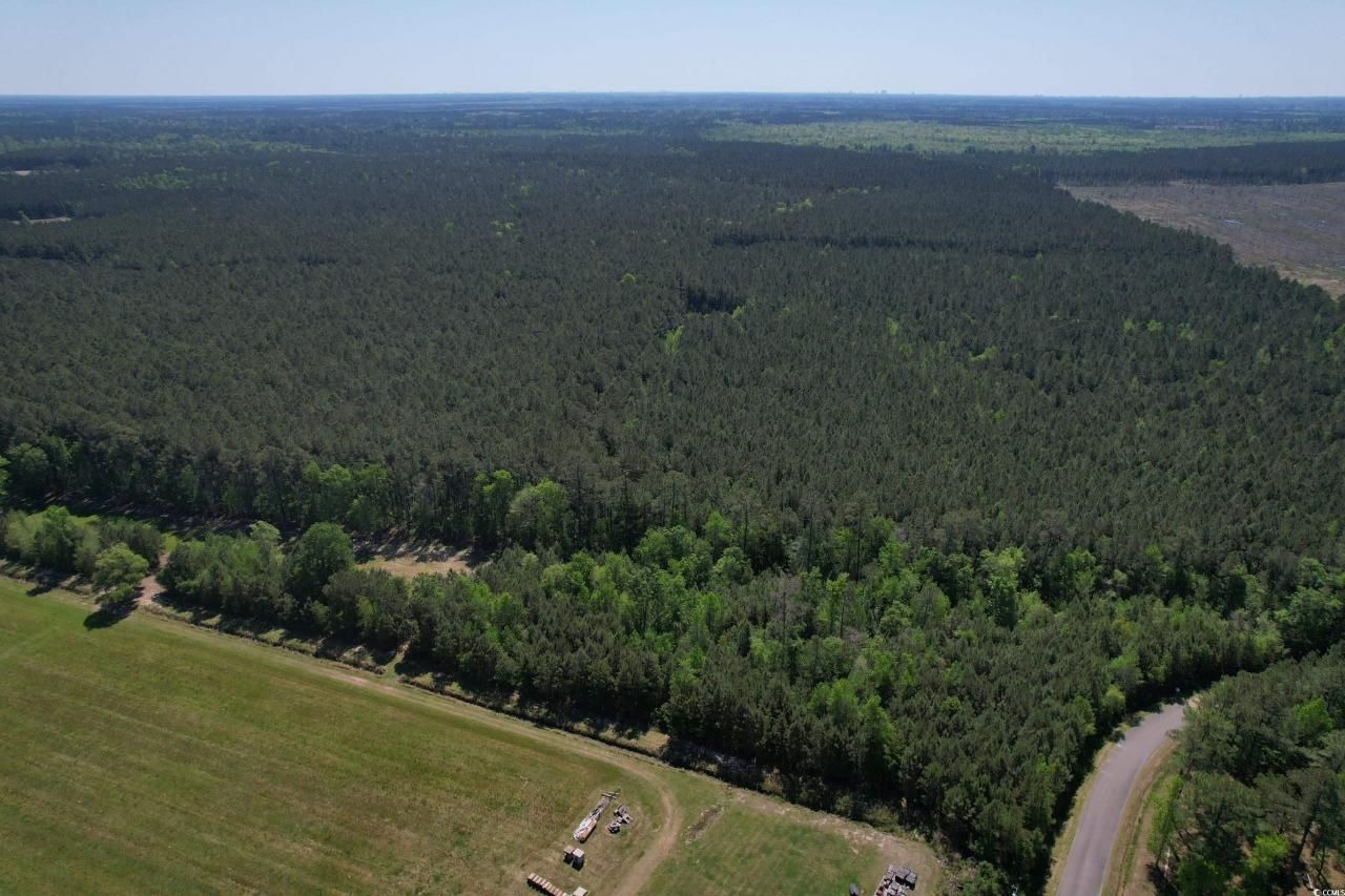 Tbd Cain Wilson Rd. Photo 7