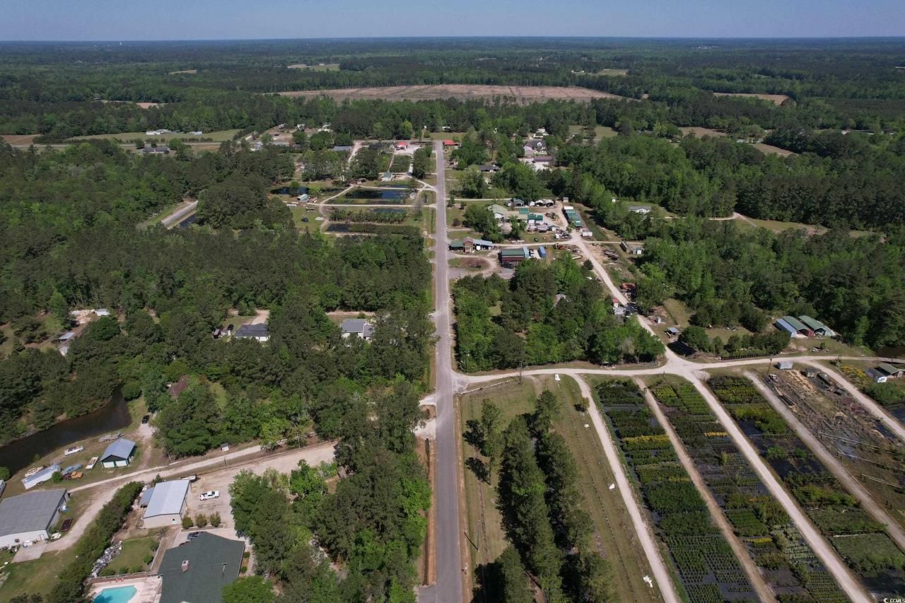 Tbd Cain Wilson Rd. Photo 9