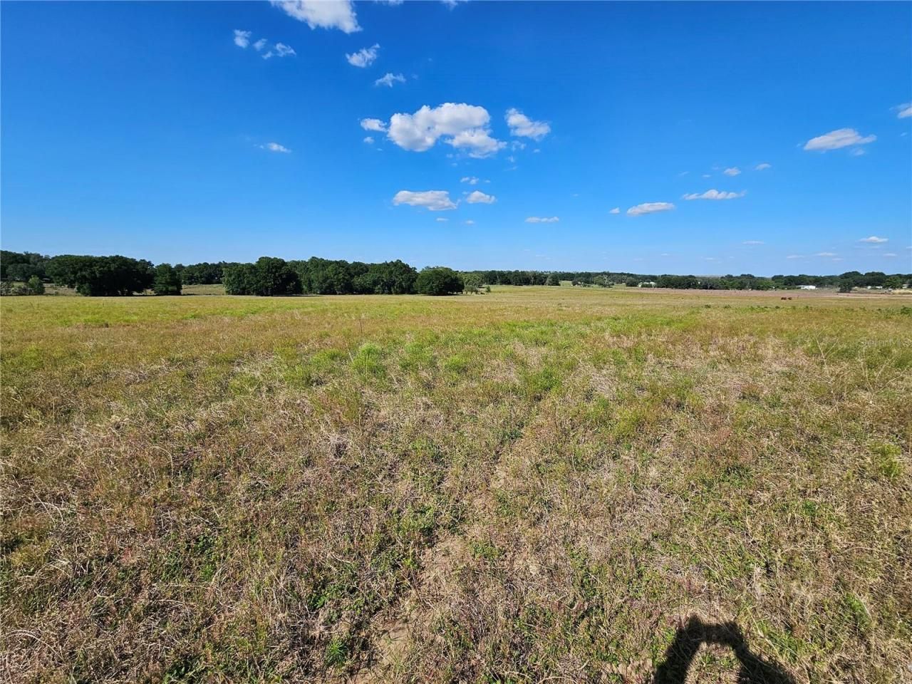 38646 Clinton Avenue, Dade City, FL 33525 Photo