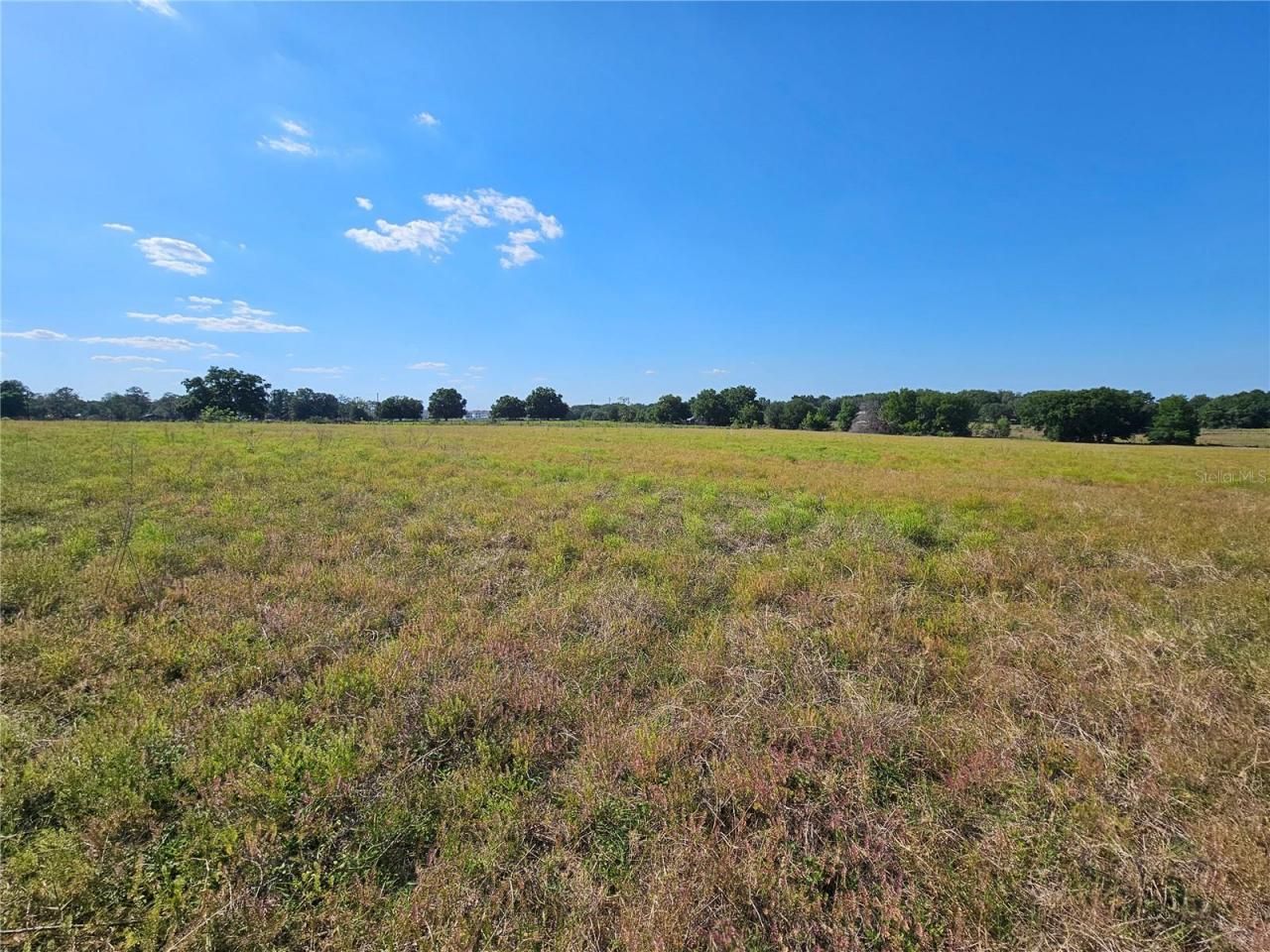 38646 Clinton Avenue, Dade City, FL 33525 Photo