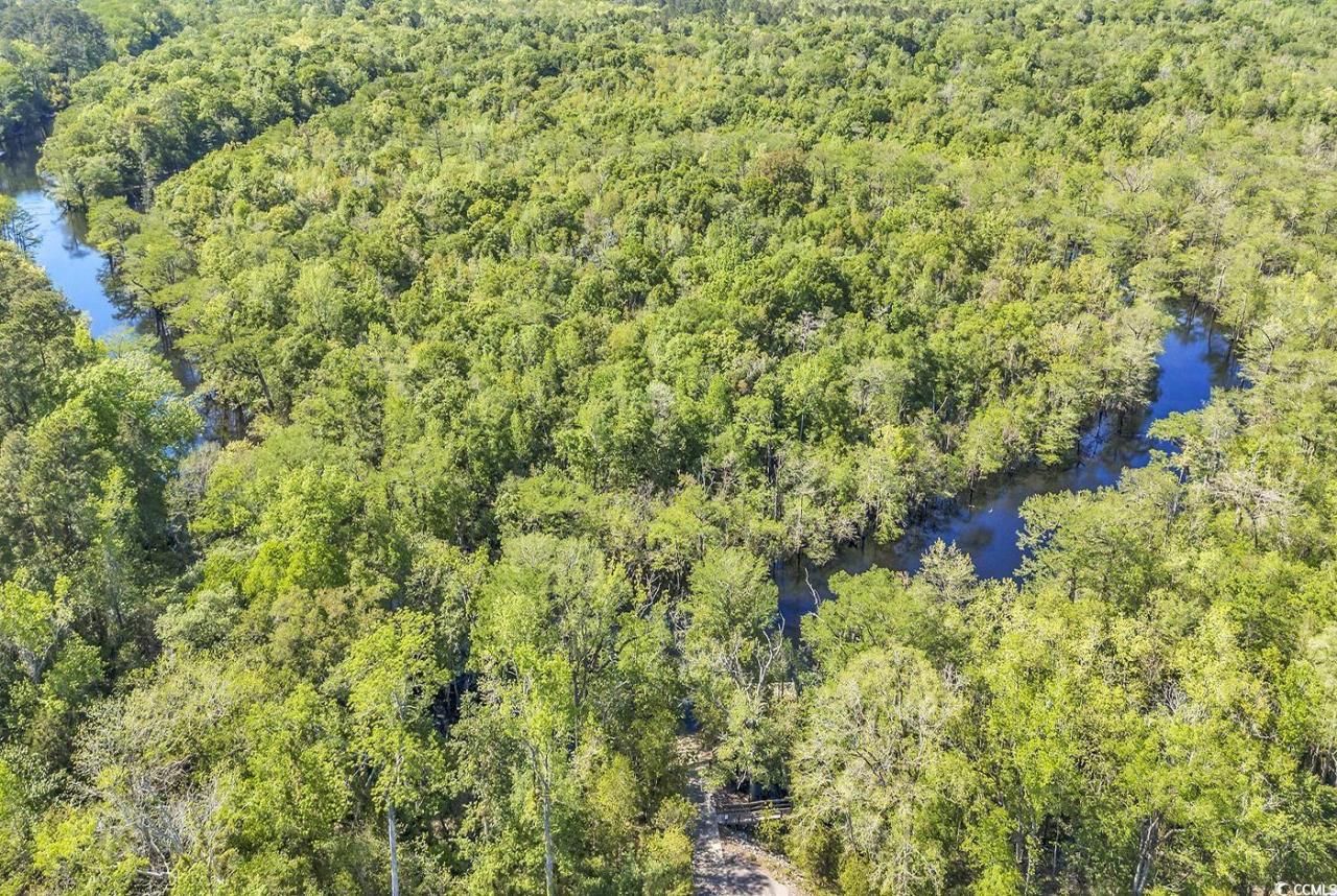 246 Rivers Edge Dr. Photo 8