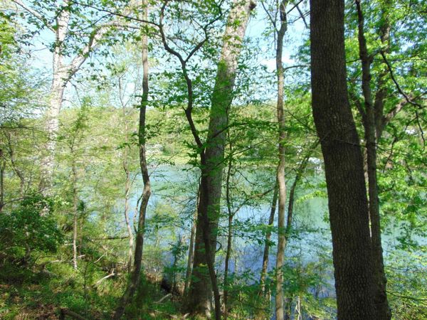 2000 Co Rd 33, Killen, AL 35645