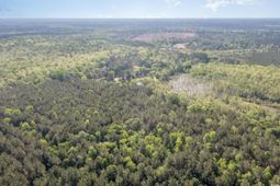 Tbd Mcnair Ln. photo 4