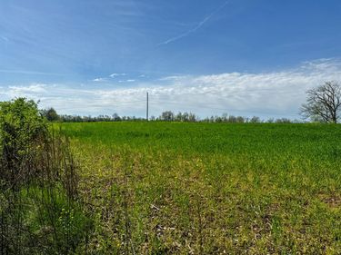 1969 Hannah Road, Shelbyville, KY 40065