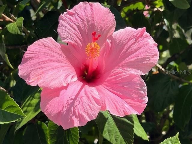 3181 Matecumbe Key Road, Unit 10, Punta Gorda, FL 33955 Photo