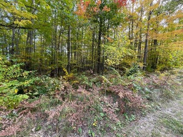 Lot 10 Fairway Drive, Roscommon, MI 48653