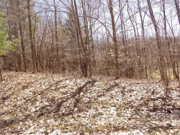 23042 Miramichi Drive, Evart, MI 49631