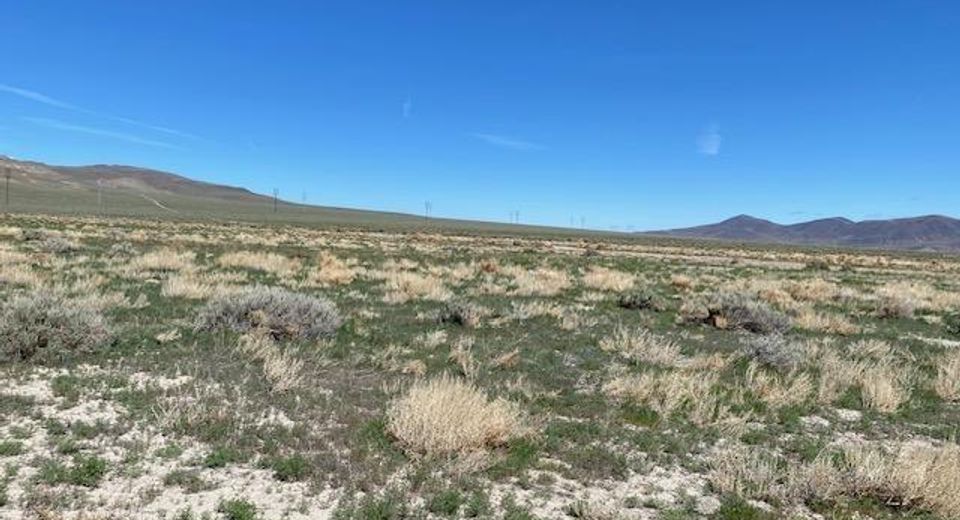 0 State Route 447, Wadsworth, NV 89408 Photo