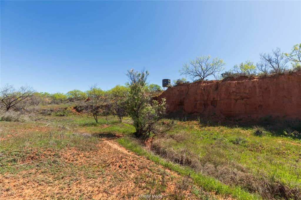 0 Cr 121, Trent, TX 76116 Main Photo