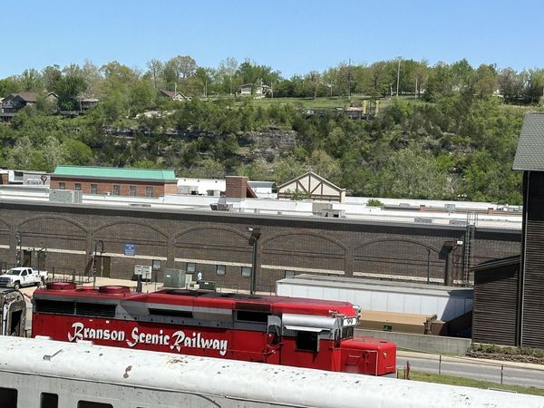 200 S Sycamore Street, Unit 1001, Branson, MO 65616