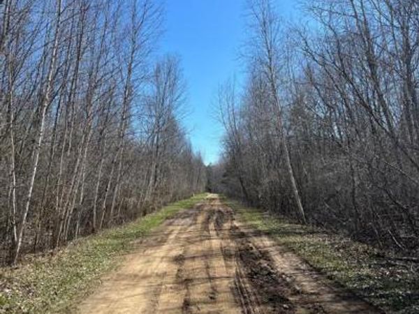 CHIPPEWA Trail, Novesta Twp, MI 48726