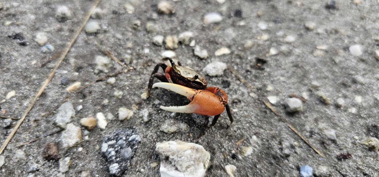 Tbd S Ocean Drive, Fort Pierce, FL 34949 Photo