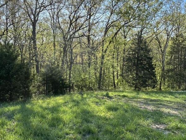 LOT 1 BIRDIE HILL ROAD, Holts Summit, MO 65043