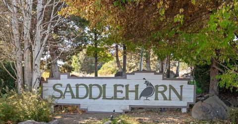 14535 S Quiet Meadows, Reno, NV 89511 Photo