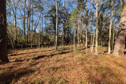 Brown Street photo 4