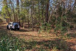 Brown Street photo 4