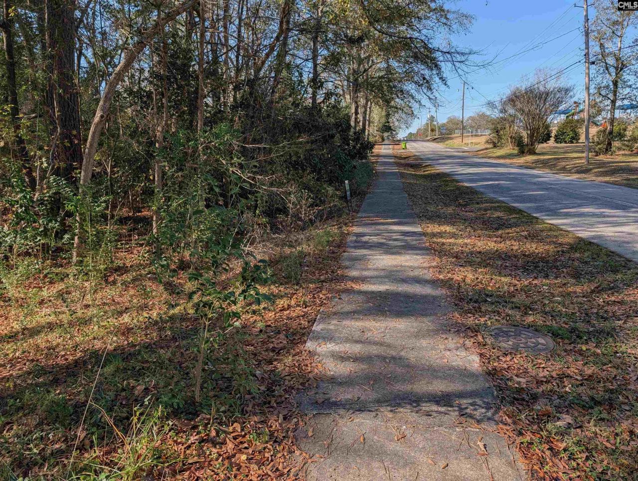 Brown Street Photo 4