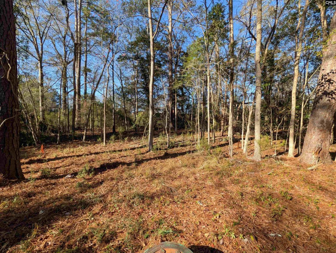 Brown Street Photo 5