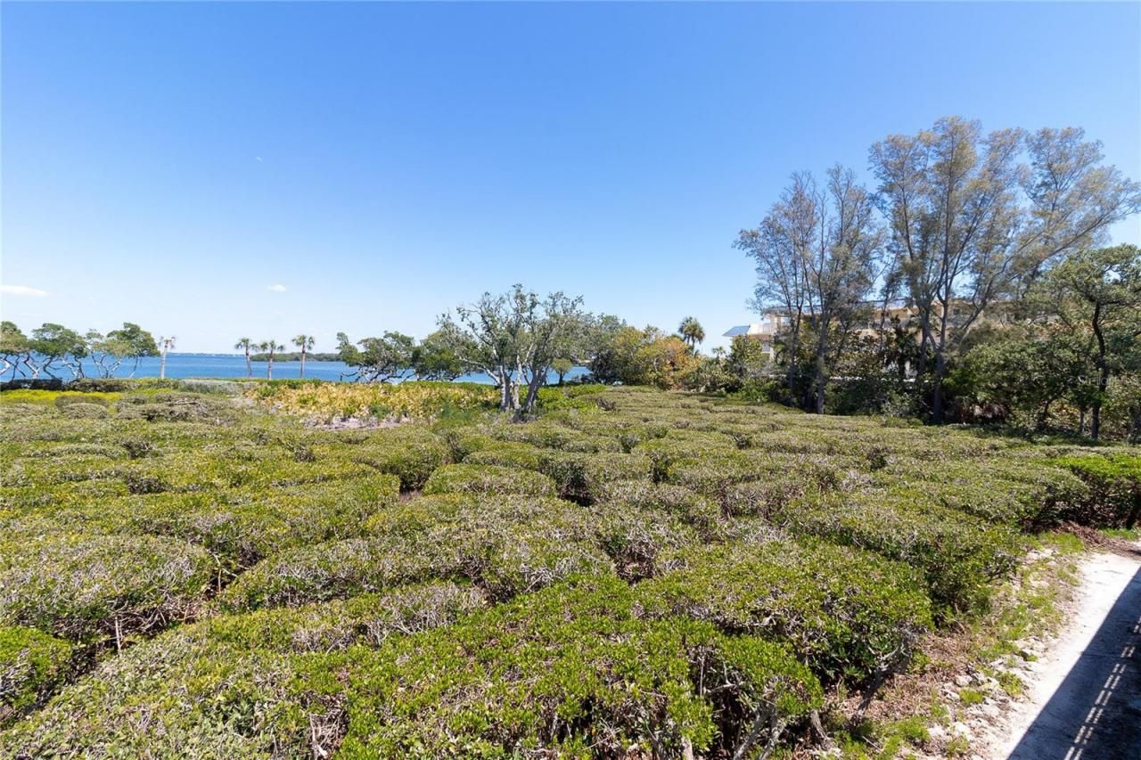 817 Bayport Way, Unit 817, Longboat Key, FL 34228 Photo