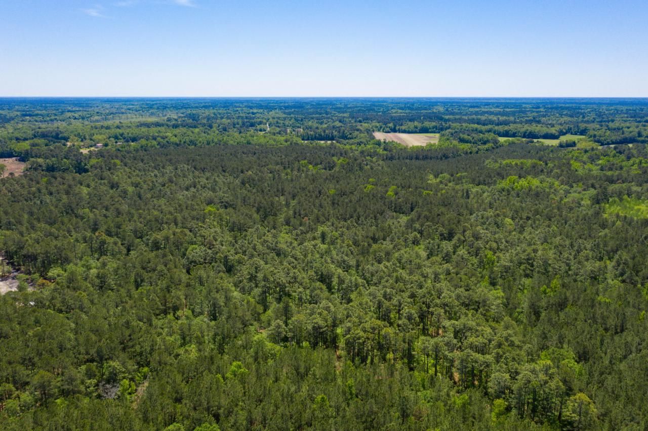 000000 Old Spell Road Photo 11