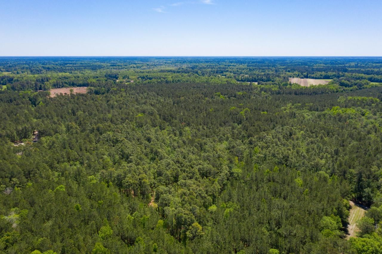 000000 Old Spell Road Photo 12