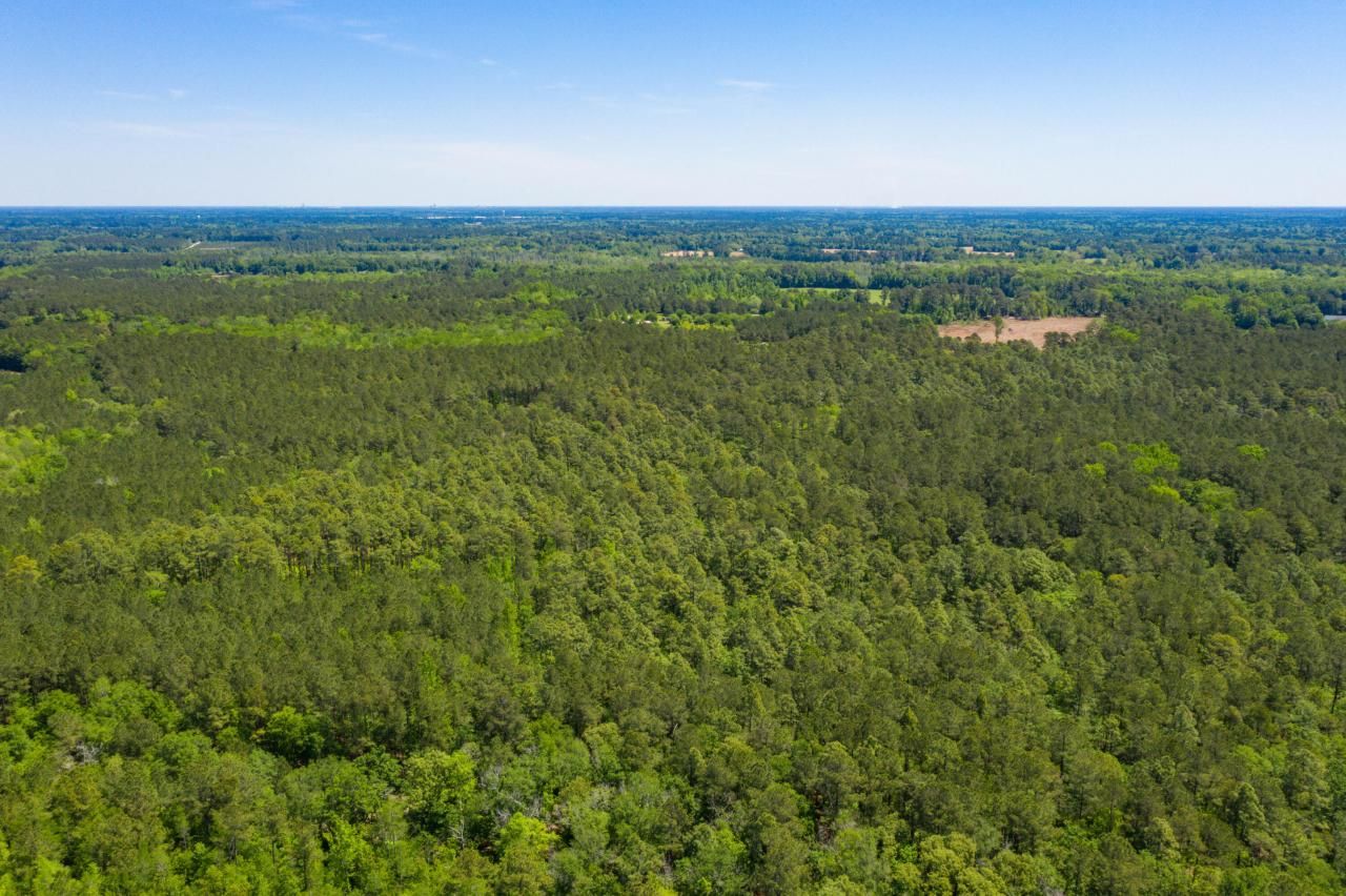 000000 Old Spell Road Photo 14