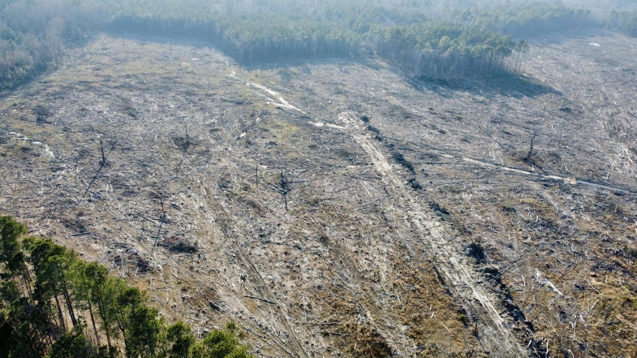 000000 Old Spell Road Photo 22