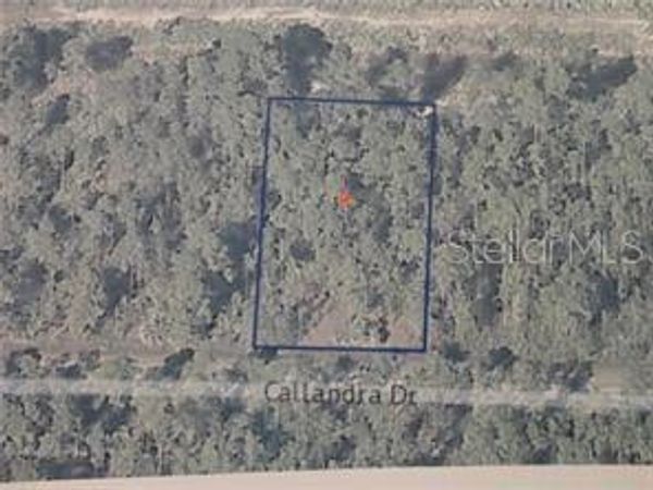 0 CALLIANDRA DRIVE, INDIAN LAKE ESTATES, FL 33855