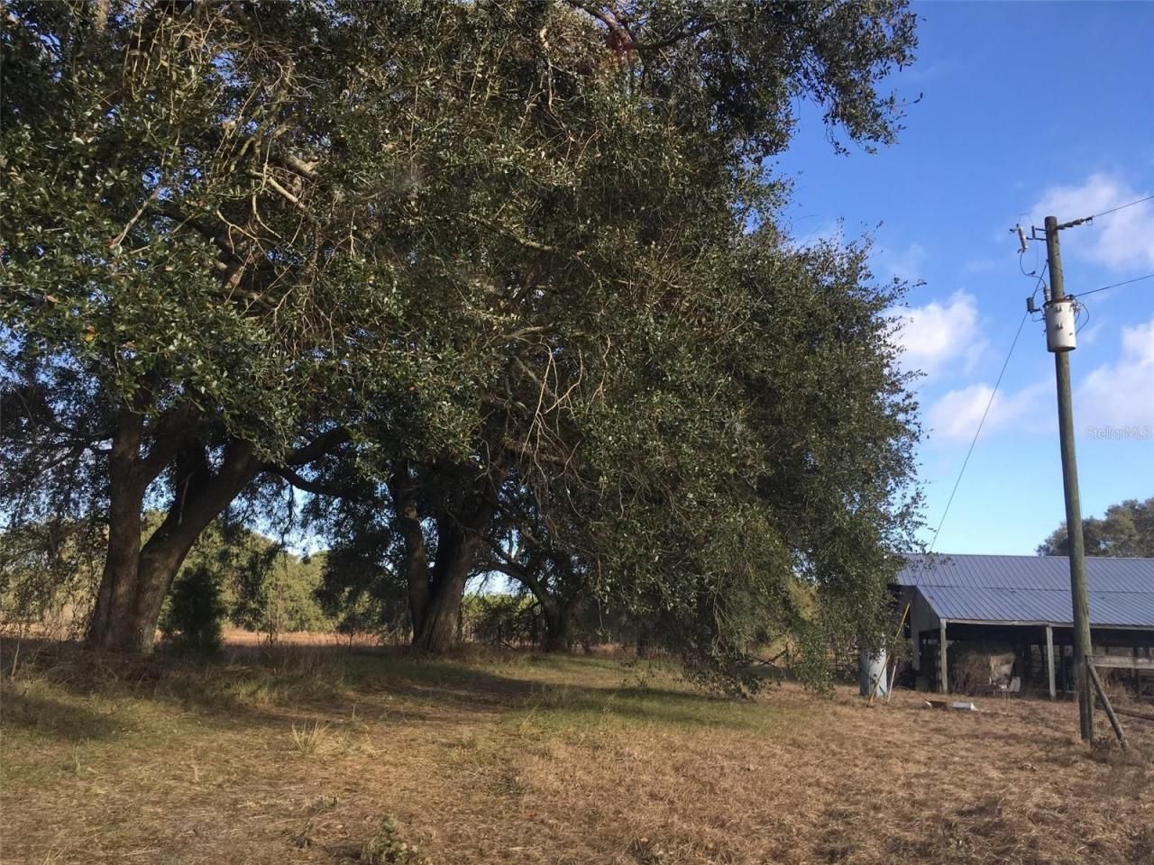 15589 104th Street, Live Oak, FL 32060 Photo