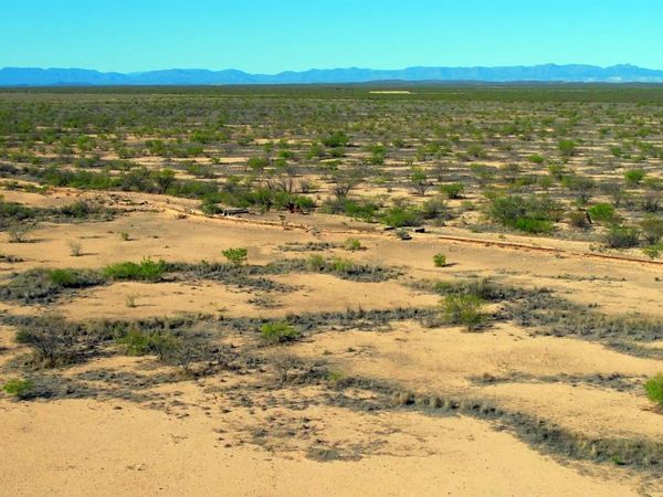 TBD County Road 124, Pecos, TX 79772