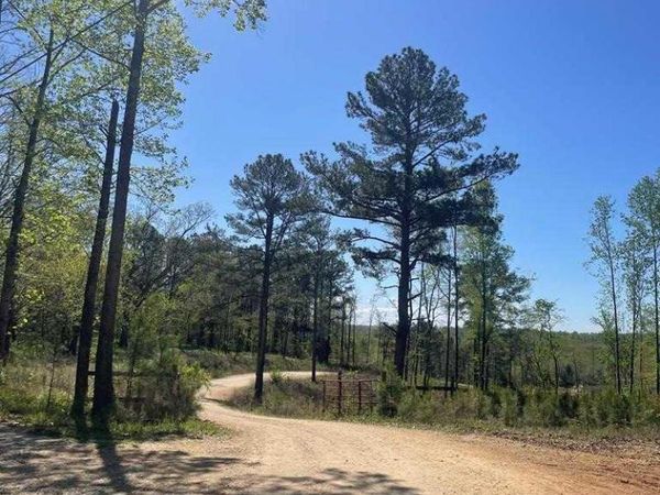 0 E L Walker, Paris, TN 38242