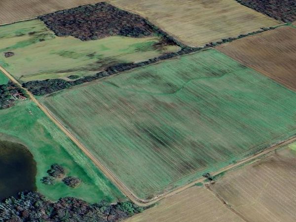 LEE 157 Other, Other, AR 72368