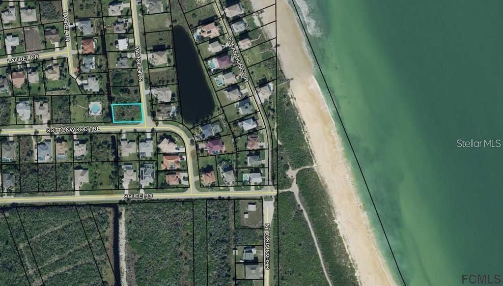 24 Mahoe Drive S, Palm Coast, FL 32137 Photo