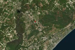 4900 Highway 501 photo 4