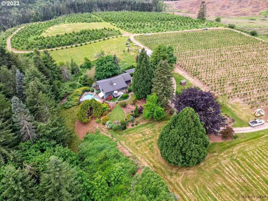 Property Image 47