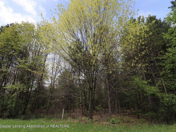 4094 Sebring Drive, Lansing, MI 48911