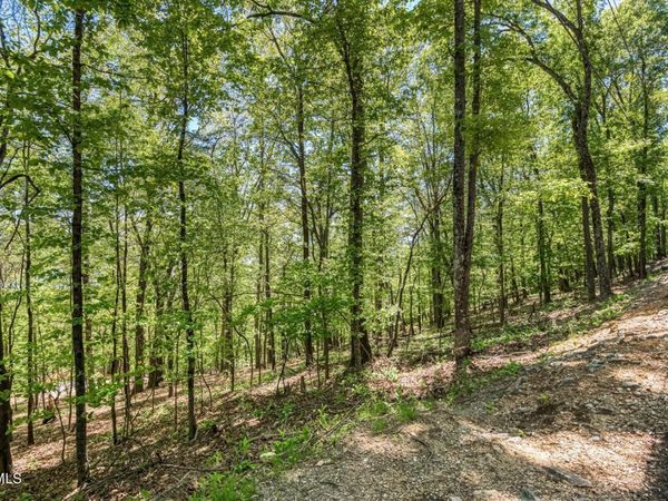 1184 Keetoowah Drive, Mooresburg, TN 37811