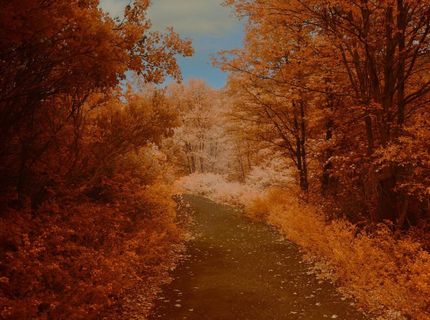 16397 Indiana Ranch Rd, Dobbins, CA 95935 Photo