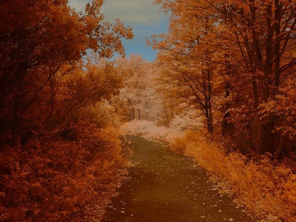 16397 Indiana Ranch Rd, Dobbins, CA 95935