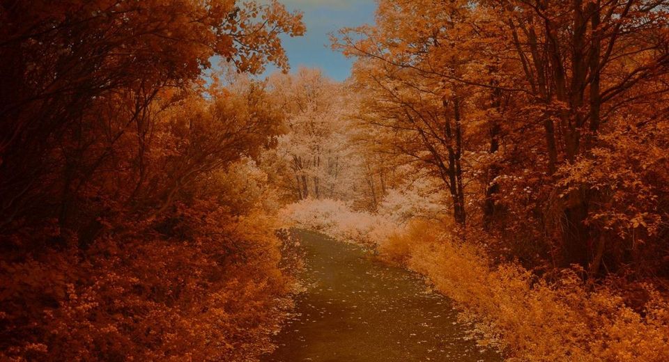 16397 Indiana Ranch Rd, Dobbins, CA 95935 Photo